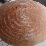 pane al latte con pasta madre