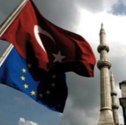 IL LUPO GRIGIO AL BIVIO