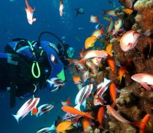 Una vacanza nel Mar Morto, fra sorgenti e fanghi