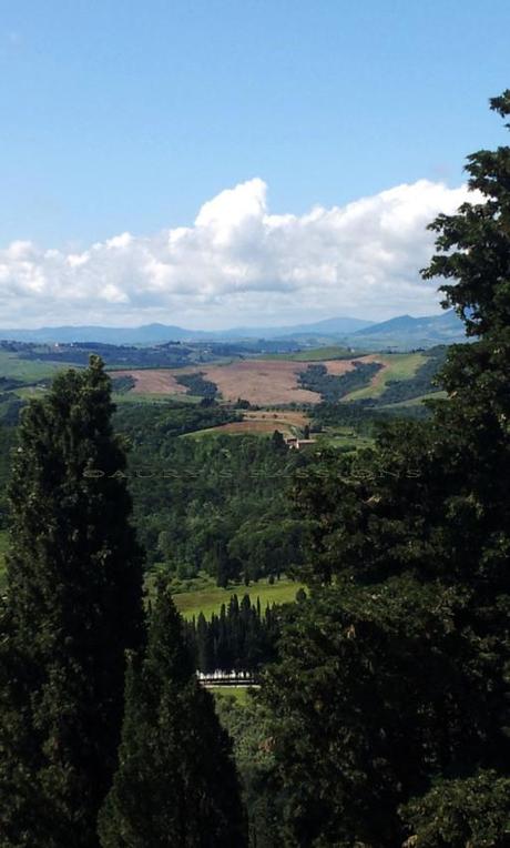 La foto della settimana: cartolina dalla Toscana