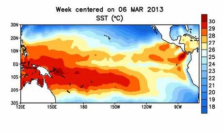 Temperature del Pacifico delle ultime settimane. Fonte: ENSO