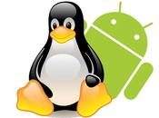 Quanto Linux Android? risposta sviluppatore Google