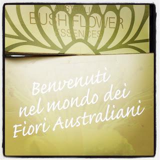 Una Domenica passata a studiare i fiori australiani.