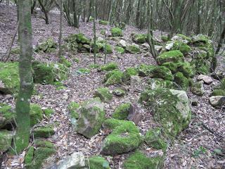 Archeologia: scoperta una fucina preistorica a bocca di cava