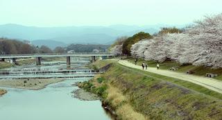Cose che amo di Kyoto #3: Kamogawa
