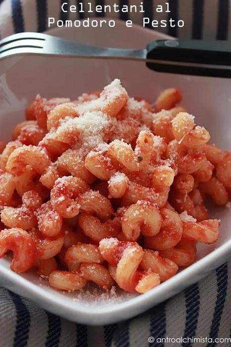 Cellentani al Pomodoro e Pesto