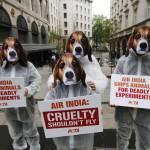 Proteste di PETA contro Air India a Londra03