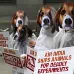 Proteste di PETA contro Air India a Londra01