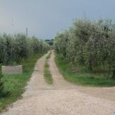 Il nostro viaggio a Vasto, Abruzzo, in foto