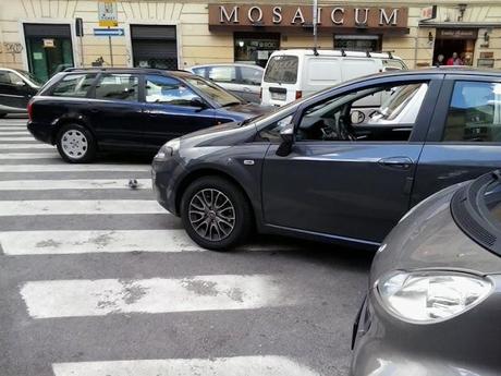 Ancora cronache dalla città che ti fa passare la voglia di passeggiare. I commercianti hanno determinato questo e questo li ha distrutti: ovvio che la gente si rifugi nei centri commerciali, solo lì è plausibile una serena passeggiata per negozi