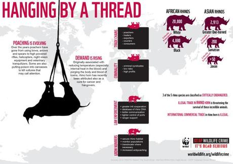 HangingByAThread-Rhino-Infographic_10.11.2012_Stop-Wildlife-Crime