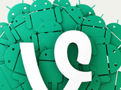 Twitter, Vine arriva finalmente Android