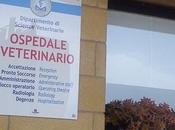 ospedale "bestiale" messina