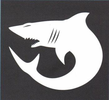 Background: le prime undici Crociate Nere