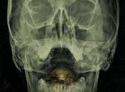 "The panico nutre paura": giugno cinema‏