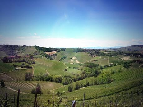 #piemonteliguria due regioni molto vicine [Piemonte Langhe]