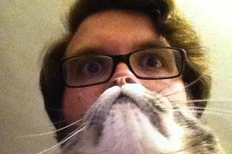 catbeards3