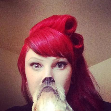 dogbeards4