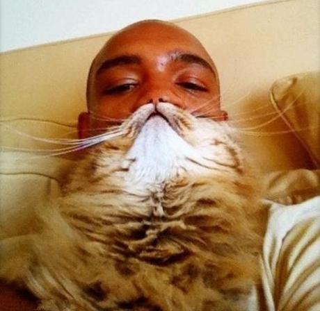 catbeards10