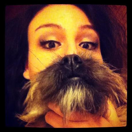 dogbeards8