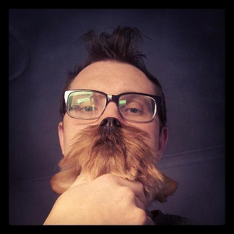 dogbeards6