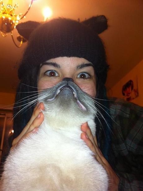 catbeards8