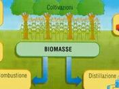 Nuovi Carburanti. arrivo quelli prodotti dalle biomasse