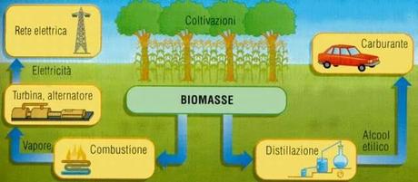 Nuovi Carburanti. In arrivo quelli prodotti dalle biomasse