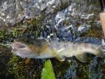 Pescatori della Domenica in Valsesia