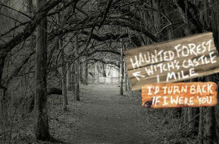 haunted_forest_fin