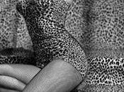 Animalier Lover!