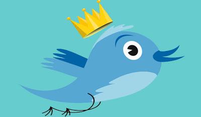 75 consigli per diventare una twitstar