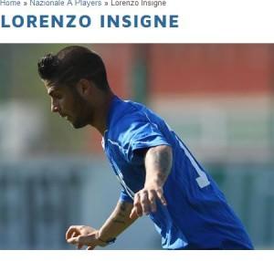 insigne