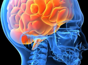 bugie lasciano delle “impronte digitali” nostro cervello