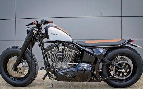 The illogical softail