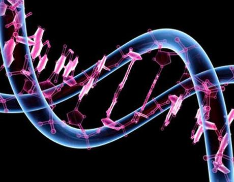 Furto di genoma, il prossimo problema da affrontare?