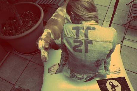 cuscini per giardino: design store online