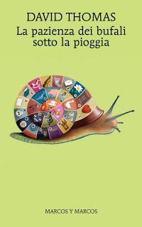 LA PAZIENZA DEI BUFALI SOTTO LA PIOGGIA - David Thomas