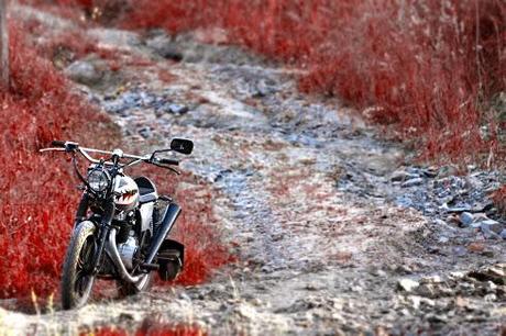 XS-plosion by Thomas