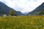 Tour de Suisse 2013 – prima tappa a Quinto. Le immagini.