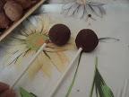 Cake Pops al cioccolato fondente e fragole.