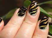 [SAFARI] Zebra Harlequin (Heavy Pics!!!)