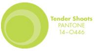 Pantone: The Colors of Spring / Summer 2013