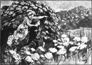 http://artscape.us/andersens-tales-1900/elder-tree-mother-06.jpg