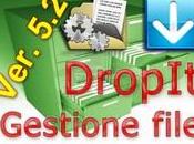 DropIt Gestione organizzazione File