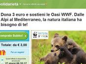 Groupon insieme coupon solidale