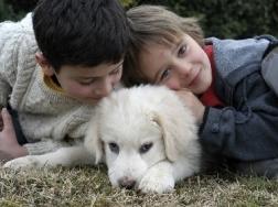 C 2 articolo 1099713 imagepp I bambini disturbano i cani, parco vietato