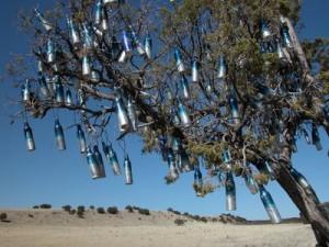 Bottle-Tree