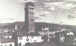 Lucca - Torre Guinigi - Foto tratta da Versilia giovinezza    del mondo - Pacini Fazzi 1982