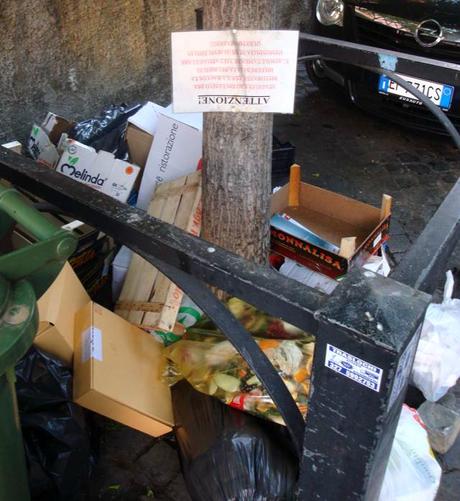 MONNEZZA-TOUR A TRASHTEVERE! LE IMMAGINI DEL RIONE-DISCARICA RIDOTTO A UNA PICCOLA MALAGROTTA A CIELO APERTO!